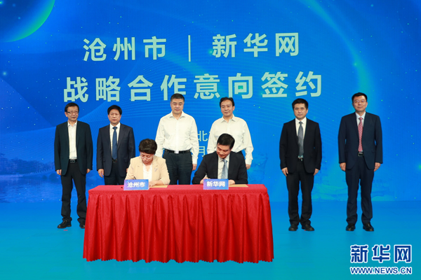 滄州新聞網(wǎng)，城市溫馨日常與深厚友情的最新報(bào)道