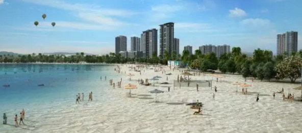 大亞灣羅健強(qiáng)最新動(dòng)態(tài)，技能提升與任務(wù)完成指南