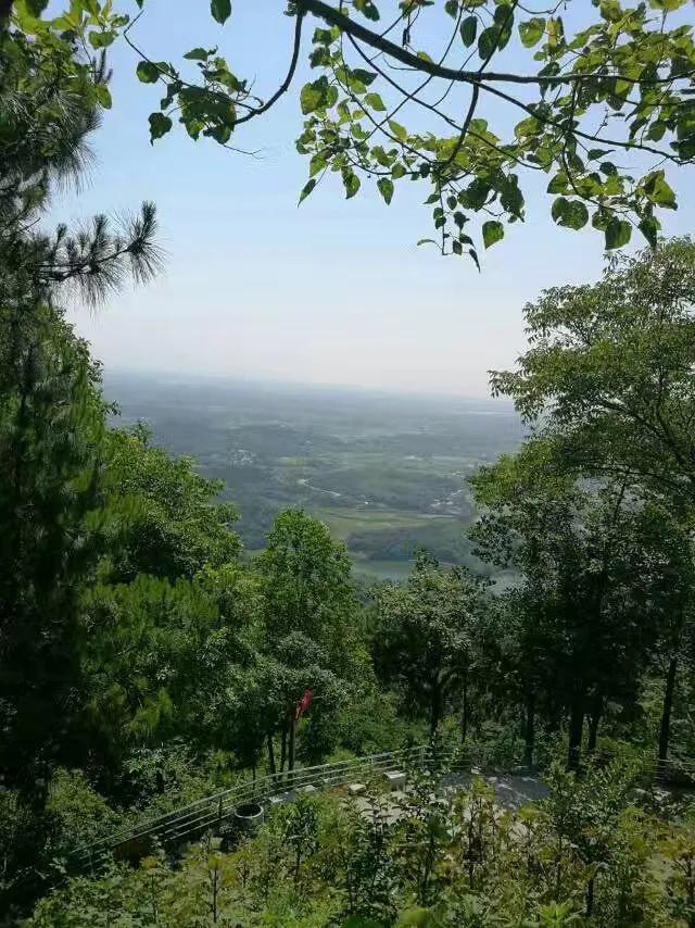 華容縣東山鎮(zhèn)最新項(xiàng)目，引領(lǐng)地區(qū)發(fā)展的強(qiáng)大驅(qū)動(dòng)力