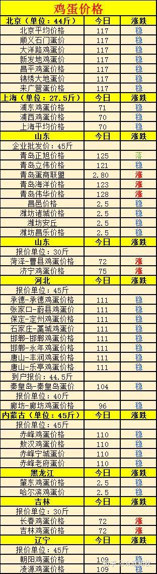 全國雞蛋最新批發(fā)價格，友情與陪伴中的溫情故事