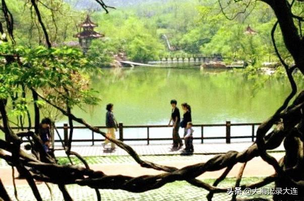 大連白云雁水最新消息概覽，最新動(dòng)態(tài)與進(jìn)展速覽