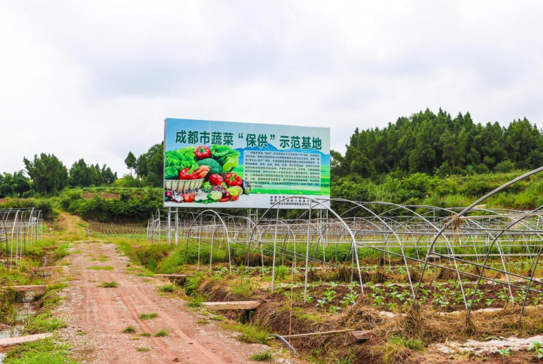 簡(jiǎn)陽(yáng)市江源鎮(zhèn)未來(lái)藍(lán)圖展望，最新規(guī)劃與未來(lái)發(fā)展