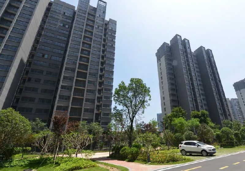 福州臚雷新城最新動態(tài)，探索自然美景，尋覓內(nèi)心平靜之旅