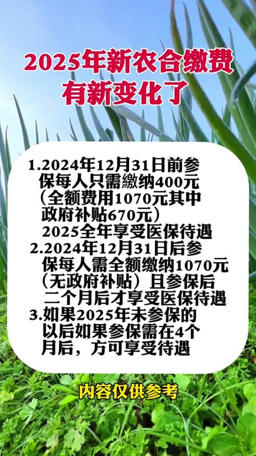 新農(nóng)合最新政策2025，背景、影響與地位分析
