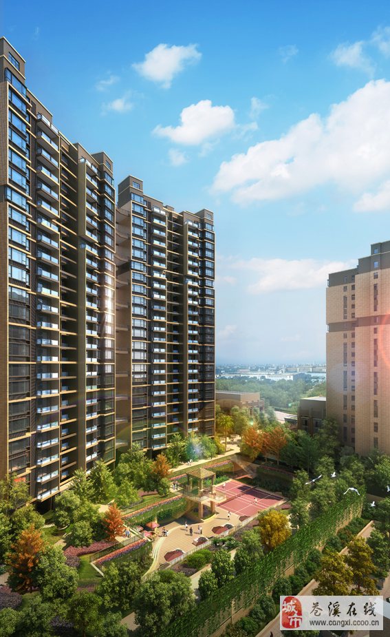 蒼溪帝景豪庭特色小店驚艷小巷深處，最新新聞報道！