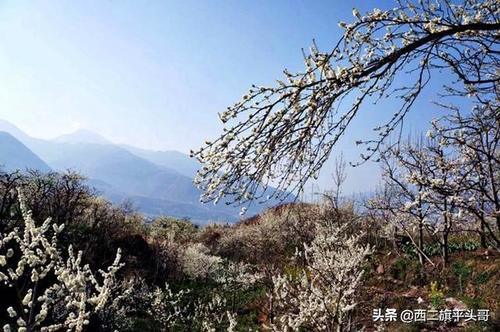 漢源九襄鎮(zhèn)最新規(guī)劃圖揭秘，藍圖下的繁榮未來