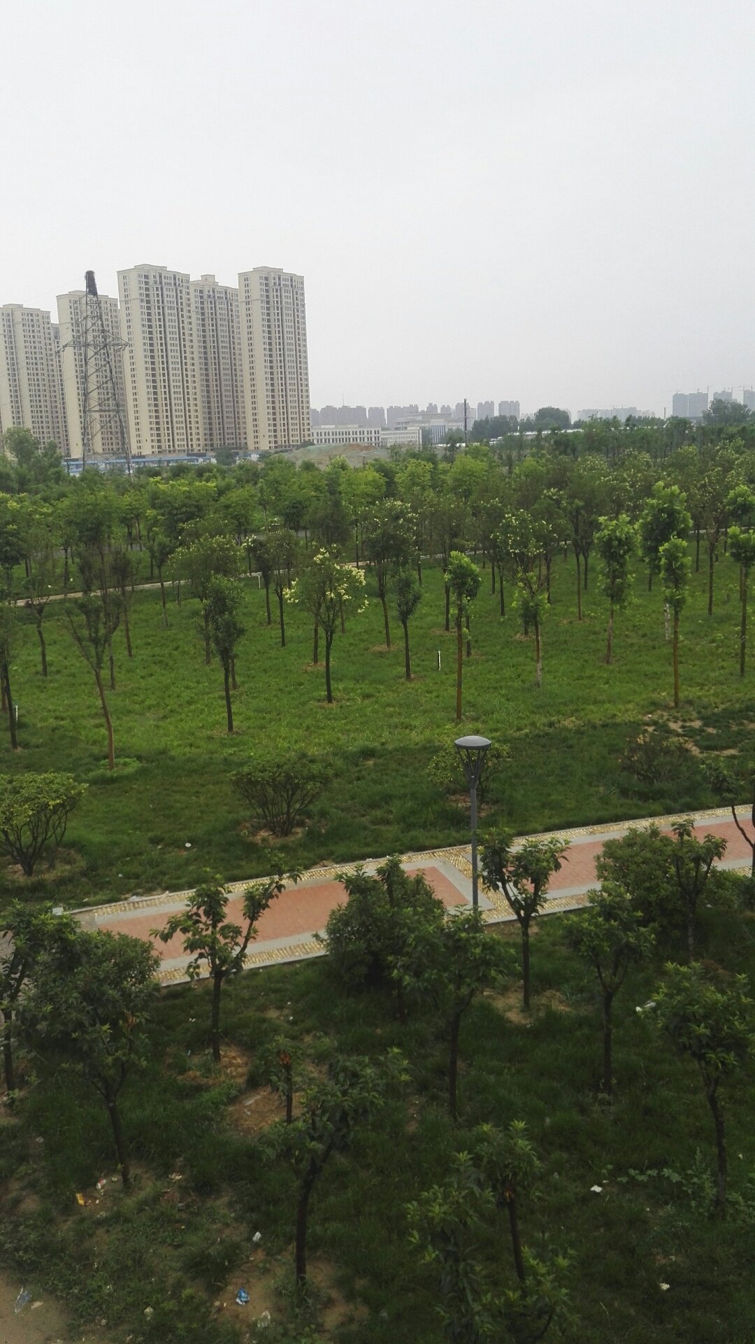 二七區(qū)最新天氣預(yù)報(bào)更新通知