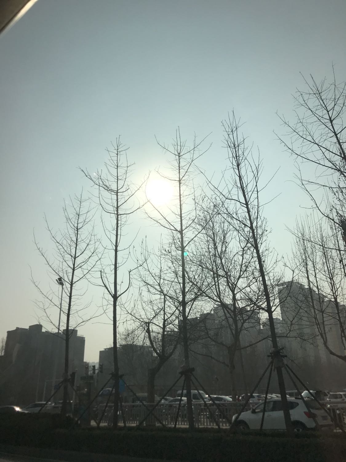 二七區(qū)最新天氣預(yù)報(bào)更新通知