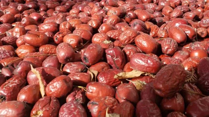 非常完美最新一期音樂盛宴，嗨翻全場(chǎng)的音樂狂歡！