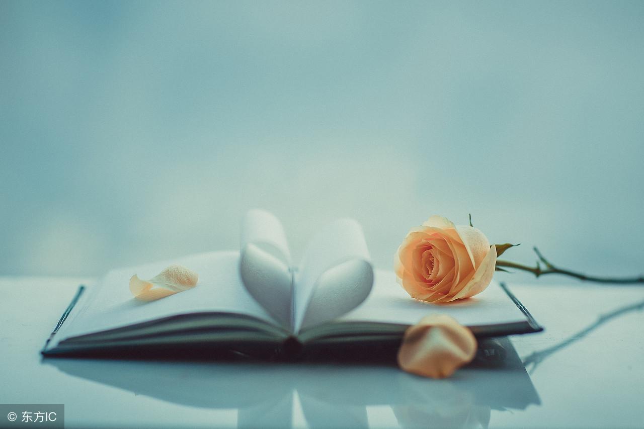 執(zhí)愛成灰最新章節(jié)列表及內容概述