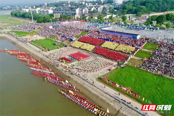 沅陵紅網10.31最新消息解讀指南，從初學者到進階用戶的全方位指南