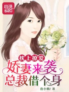 枕上撩妻有道，心動(dòng)不已的浪漫之旅最新章節(jié)