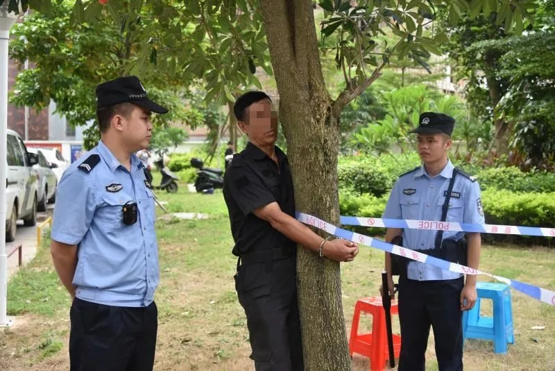 北海打傳辦最新動(dòng)態(tài)及其影響分析，一種觀點(diǎn)的視角