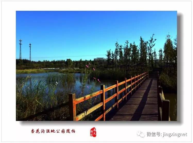 涼灣濕地公園奇妙一日游，最新消息揭秘探險(xiǎn)之旅！