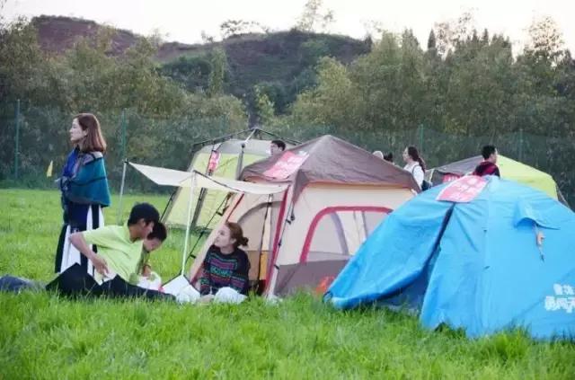 蘄太安高速最新動態(tài)更新，最新消息匯總