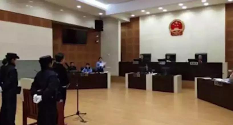 易乾財富最新消息劉丹，自然美景探索之旅揭秘