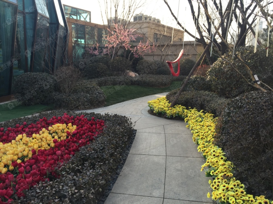 太原翡翠華庭最新動態(tài)揭秘，最新消息匯總????