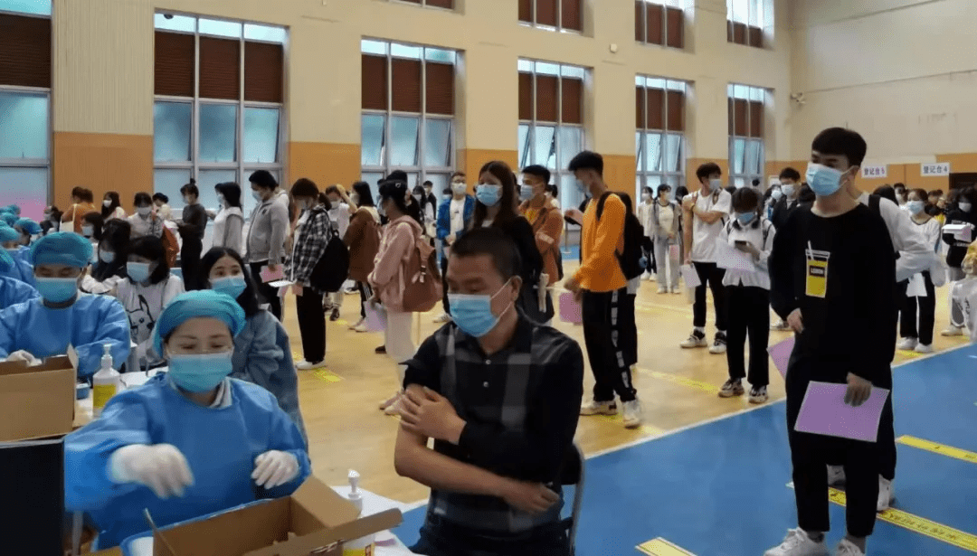 岳陽新喬線啟程探索自然美景治愈之旅的最新動(dòng)態(tài)