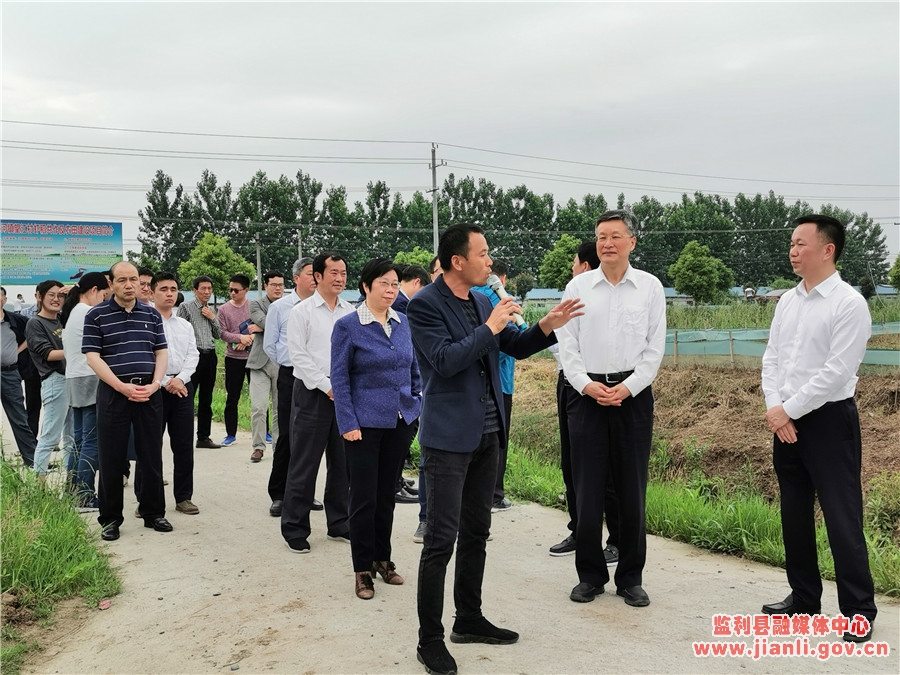 監(jiān)利盧國洪最新動(dòng)態(tài)及小巷獨(dú)特風(fēng)味探秘