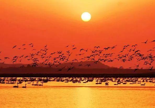 巢湖四海花園，科技智慧生活與房?jī)r(jià)新篇章開啟，最新房?jī)r(jià)信息一覽