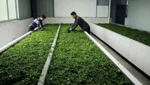 茶碾公路最新進(jìn)展詳解，入門到精通的全方位指南