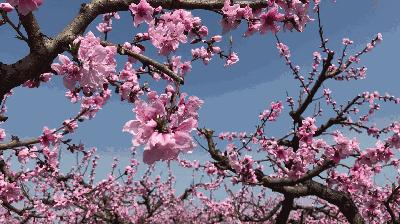 榆中縣新世界最新房價，夢想躍動的起點(diǎn)