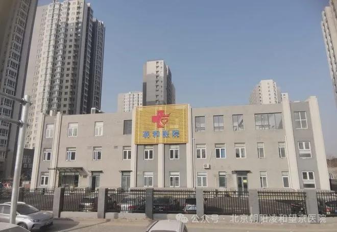 東壩福滿園，小巷特色小店的獨特魅力與最新消息揭秘