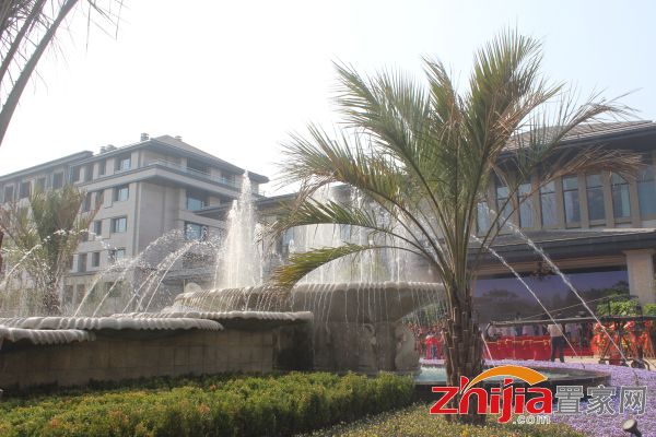 邯鄲陽(yáng)光東尚最新消息揭秘，重磅更新??