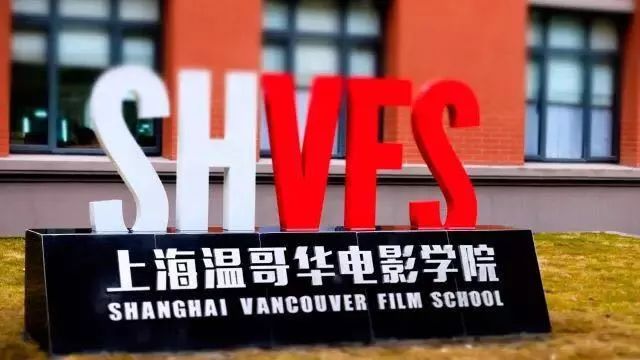 魯泰集團(tuán)最新招聘啟事，職位空缺與職業(yè)發(fā)展機(jī)會