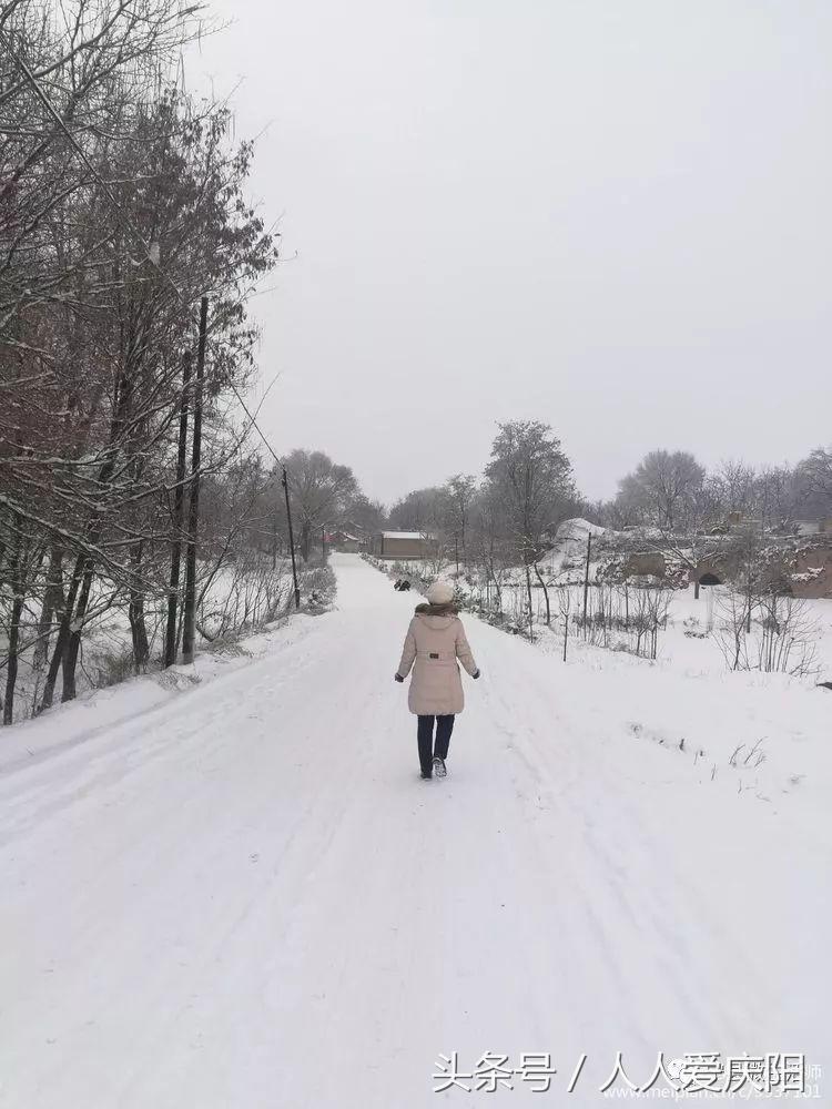 寧縣和盛鎮(zhèn)最新消息概覽，最新動態(tài)與指南