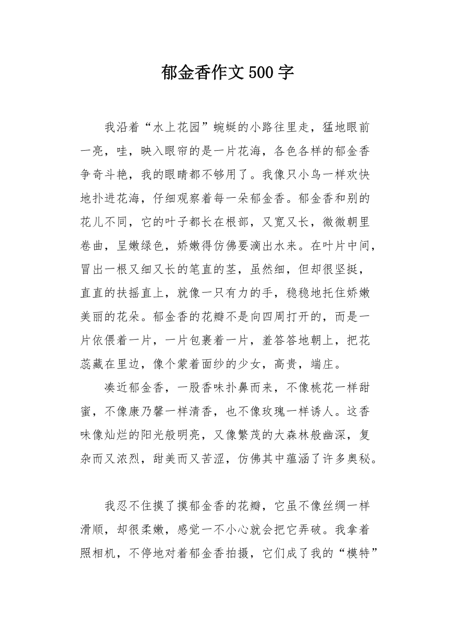 我的郁金香女友最新章節(jié)，情感與成長的交織旅程