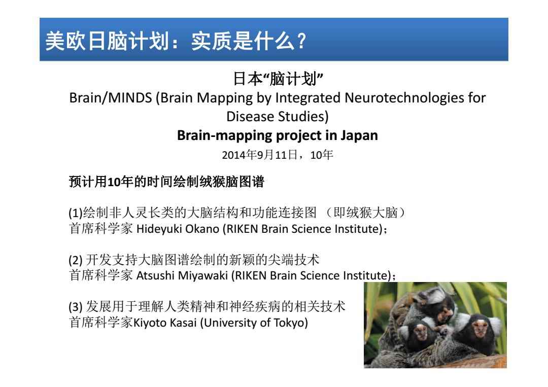 日本腦計劃最新進(jìn)展揭秘，溫馨日常的新突破