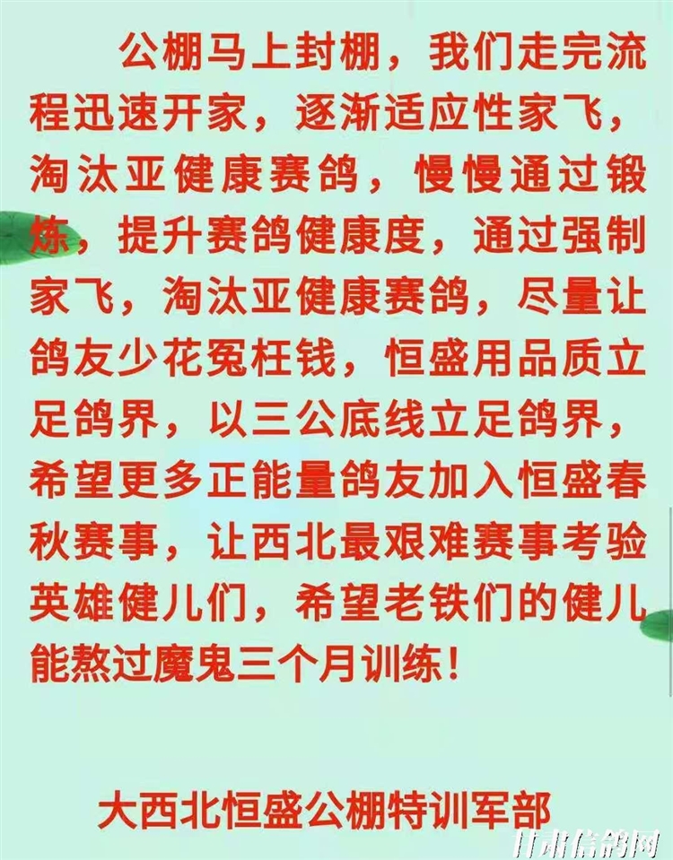 恒翔賽鴿公棚最新公告，展翅翱翔，共舞變化，自信筑夢未來！