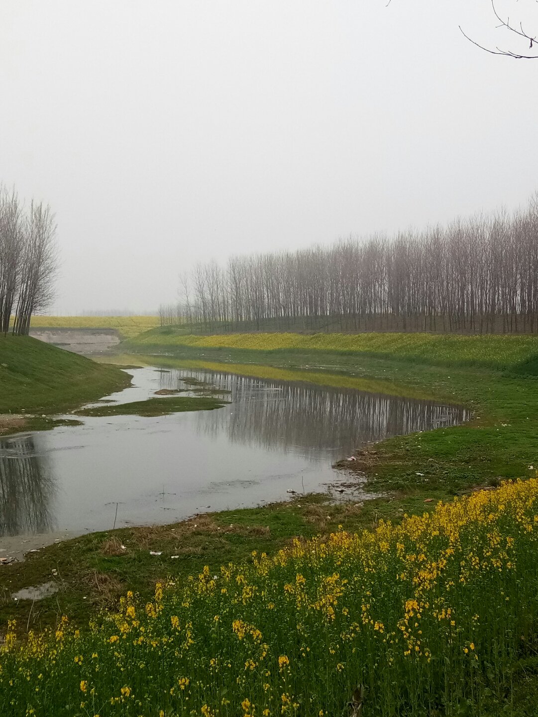 平輿縣天氣預(yù)報(bào)更新，陽(yáng)光與氣象變化帶來自信與力量