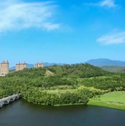 惠州市汝湖鎮(zhèn)最新規(guī)劃探索，小巷深處的獨特風(fēng)情與驚喜