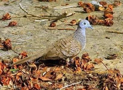 金屬?zèng)_壓模具的加工銷(xiāo)售 第12頁(yè)