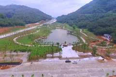 陽江森林公園最新動態(tài)更新，最新消息匯總