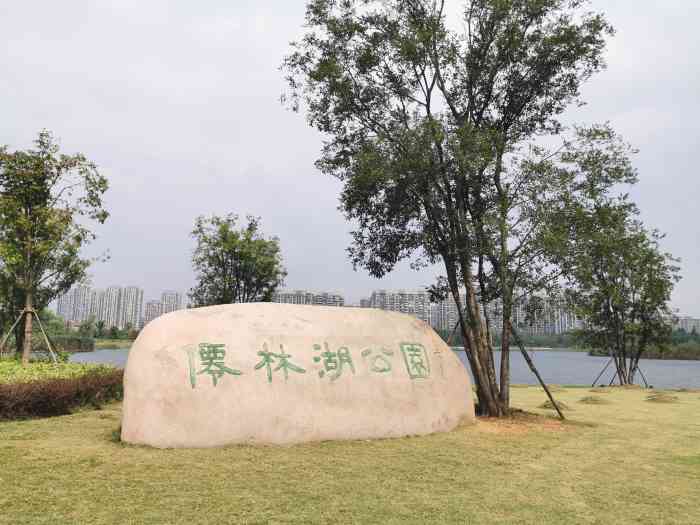 ??仙林湖公園最新動(dòng)態(tài)更新??