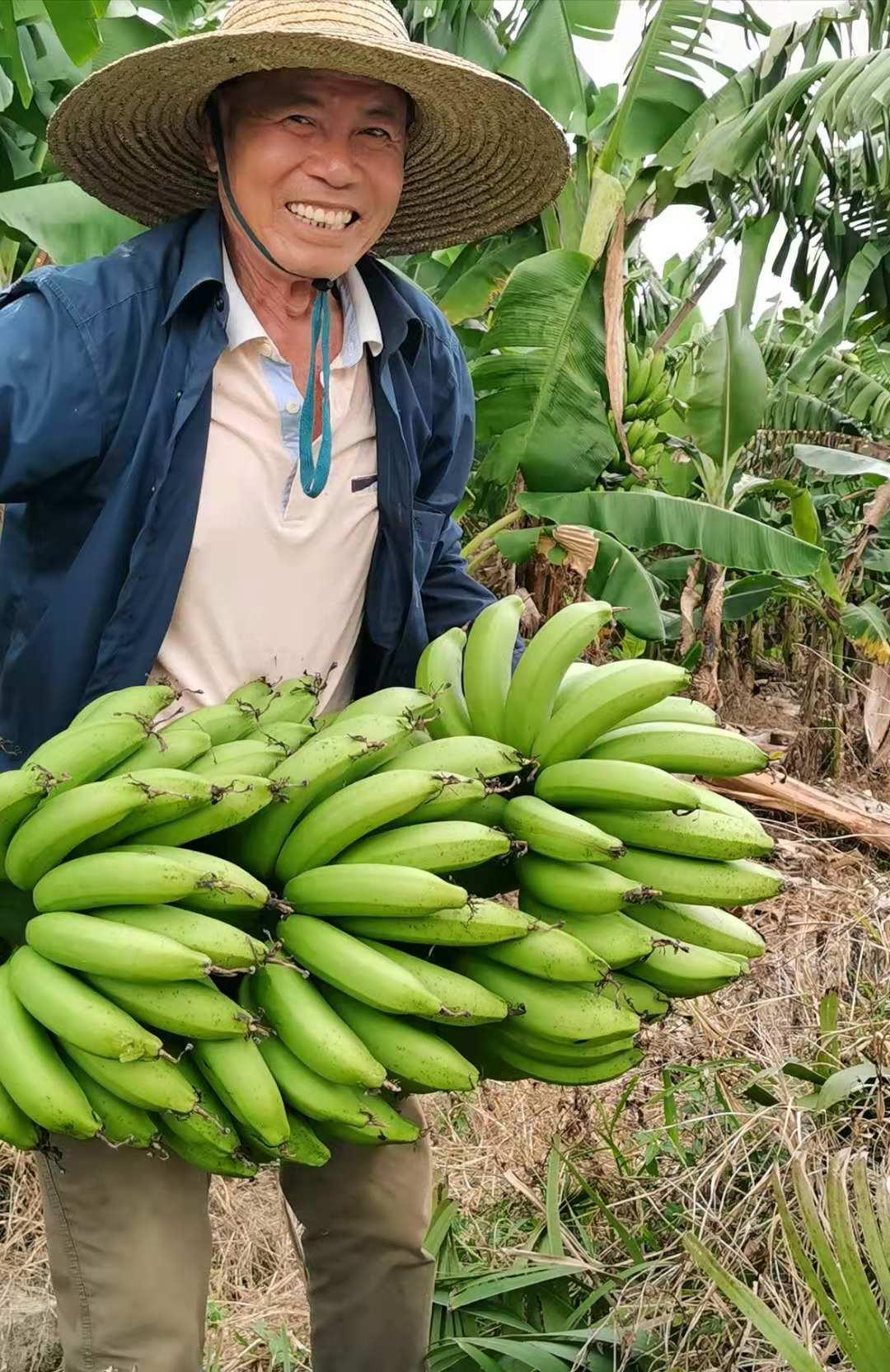 吳川新聞蘭石最新消息全解析，獲取指南助力初學(xué)者與進階用戶