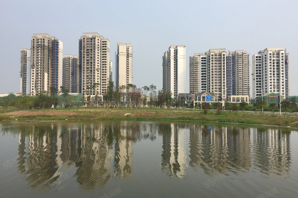 成都天府城邦最新動態(tài)，城市變遷中的共同成長之路