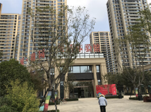 蕭縣綠城樓盤最新動態(tài)，市場深度解析與個人觀點