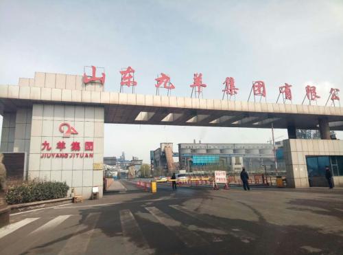 山東九羊公司蓬勃發(fā)展，引領(lǐng)行業(yè)新潮流，最新消息揭秘發(fā)展動(dòng)態(tài)