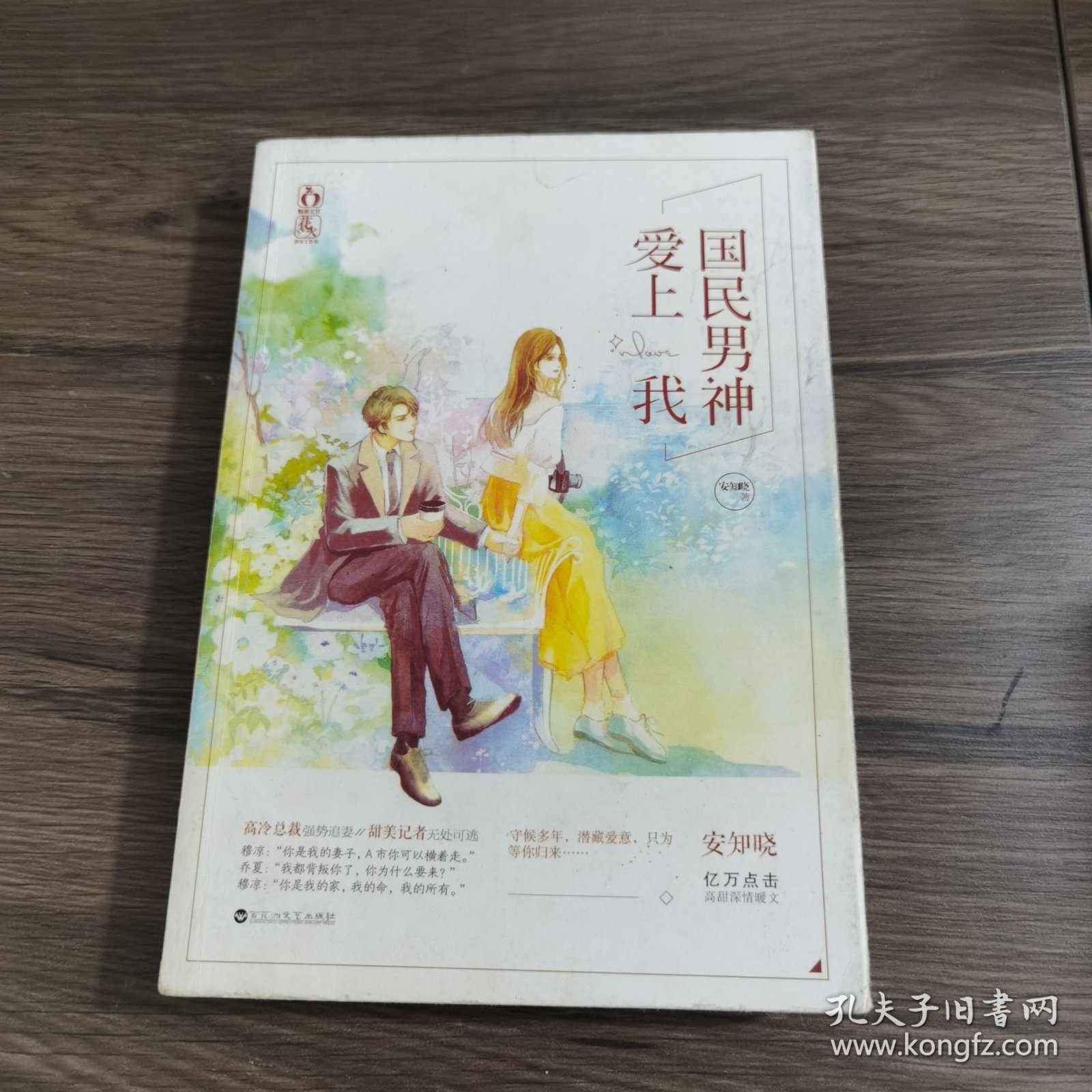 國(guó)民男神愛(ài)上我，最新章節(jié)與深度解析背景、事件及影響