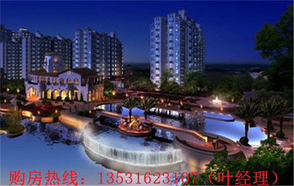 大亞灣羅建強最新消息，深度解析各方觀點與個人立場闡述