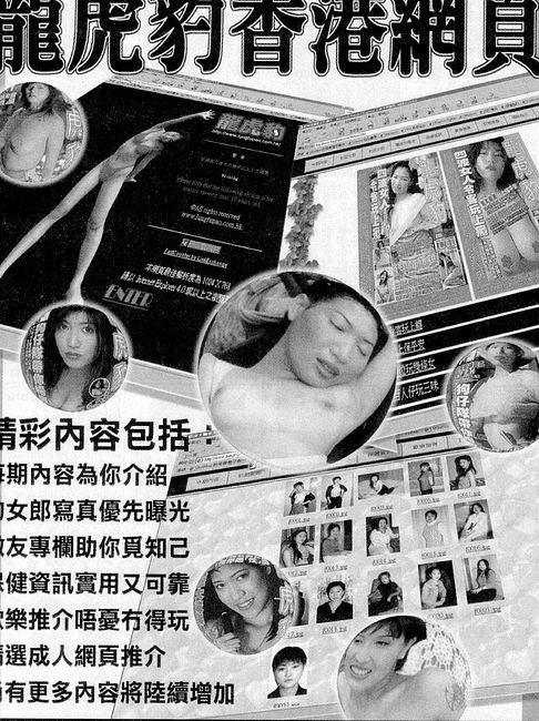 香港龍虎豹最新地址揭秘，探索自然美景，尋覓內(nèi)心寧?kù)o之旅